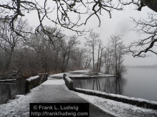 Winter at Doorly Park